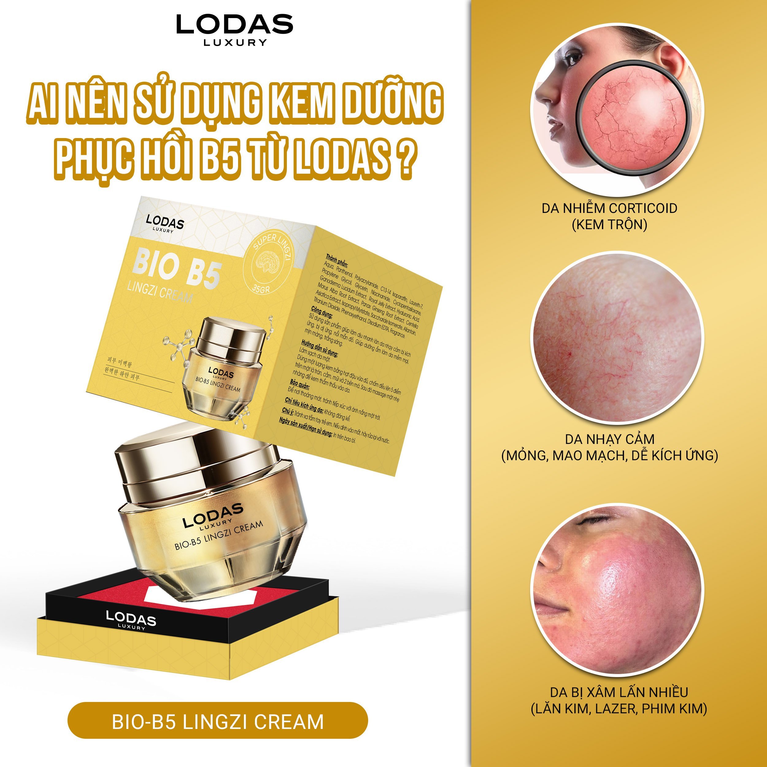 Kem phục hồi B5 Đan Thy